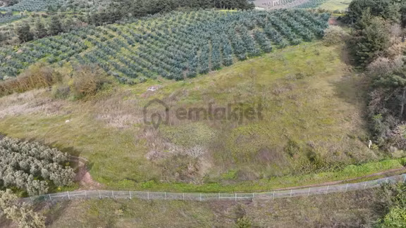 Bursa Osmangazi Selçukgazi'de Kadastro Yollu 13.600m² Yatırımlık 2