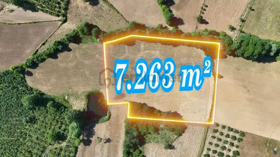 Remax Mavi Murat Ocaktar 'dan 7263 M² Verimli Tarla | Topcu Mh. 2
