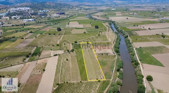Yağcılar Da 1.225 M2 Bağ, Kampüs Asfaltına 650 Mt Uzaklıkta 1