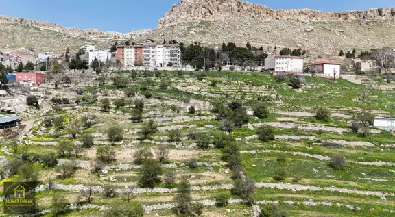 Murat Emlaktan Ordu Evi Yani 10.5 Dönüm Manzaralı Arazi Satılık 2