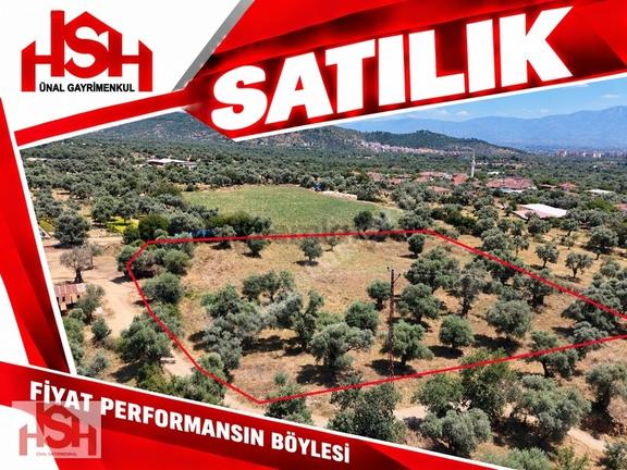 Mursallı'da Ödemişe ''4 Km'' Tabak Gibi Arsa. 1