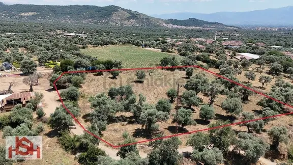 Mursallı'da Ödemişe ''4 Km'' Tabak Gibi Arsa. 1