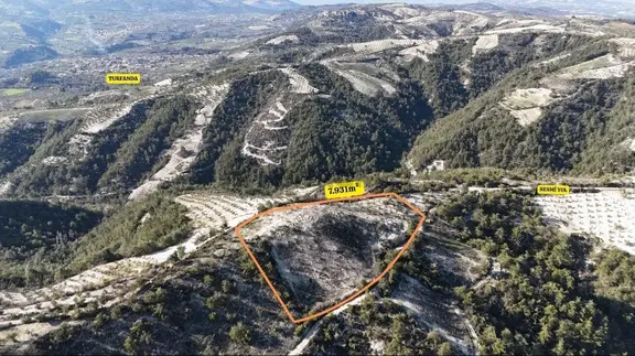 Dokuzdalda 7.9 Dönüm 2 Cephesi Yola Sıfır Parsel 2