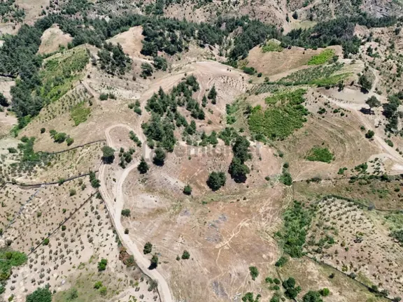 Yenidemir'de Kullanım Alanı (39.700 M2) Satılık Tarla 2