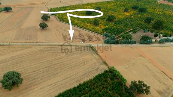 Kızıllı'da Asvalt Yola Sıfır 36879 M2 Tarla 2