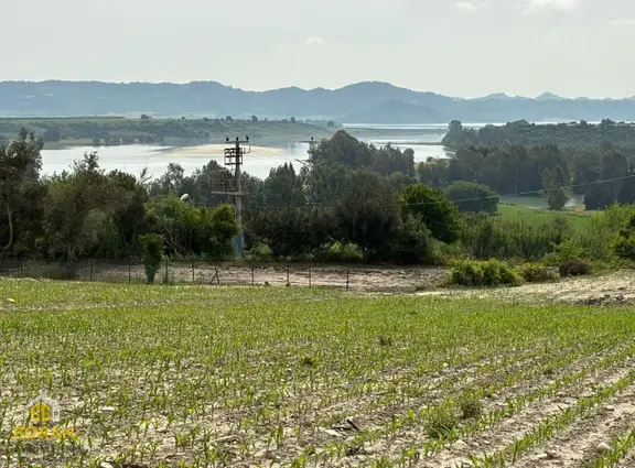 Boran Gayrimenkulden Çukurova Örcün Köyünde Satılık Arsa 1