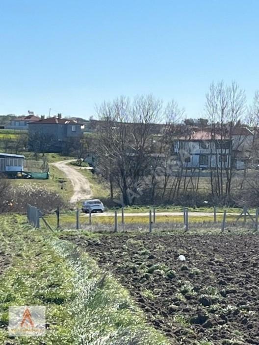 Tekirdağ Sarayda Yeri Belli İmar Sınırında Acil Satılık Arsa 1