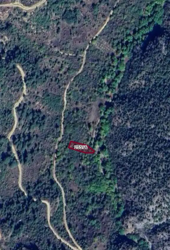 Profasor * Dan 700 M2 Bahçe Kadastro Yol Ve Dereye Cephe 2