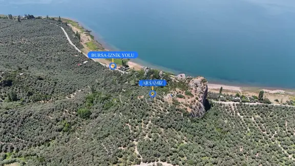 İznik Müşküle Köyünde Muhteşem Göl Manzaralı Zeytinlik 2