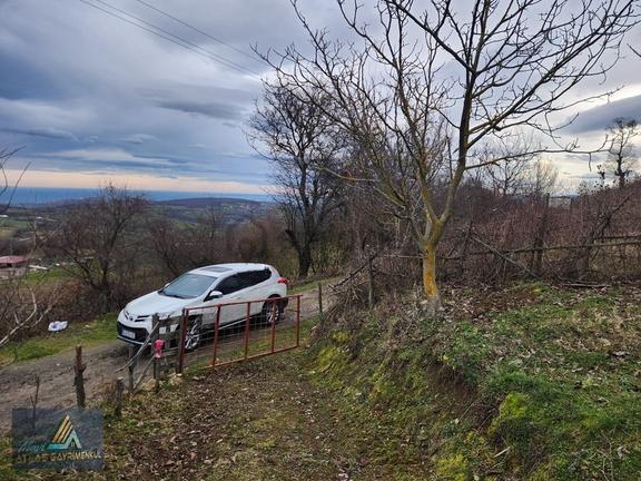 Mavi Atlas'tan Atakum Akalan Da Satılık 1501 M2 Tarla 2