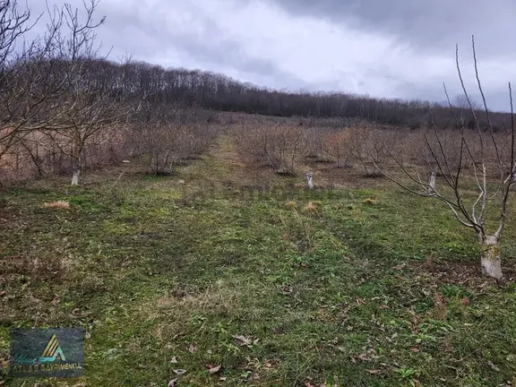 Mavi Atlas'tan Atakum Akalan Da Satılık 1501 M2 Tarla 1