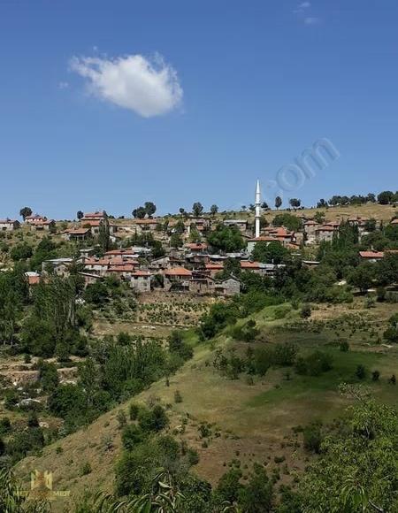 2100 Metrekare Tarla Sadece 115 Bin Tl 1