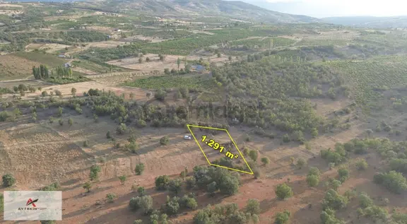 Bozkır Hamzalar Mahallesi'nde 1.291 M² Müstakil Tapulu Bağ 2