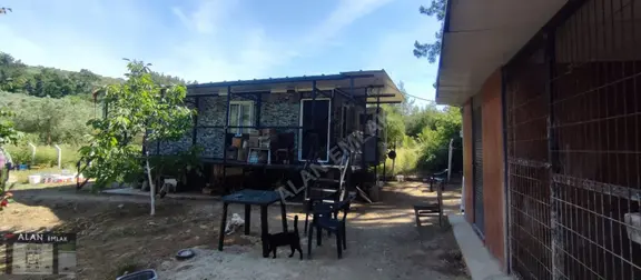 Trilyede Satılık Hobi Bahçesi 1
