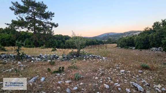 Muğla Milas Pinar'da Yatırımlık 9.107 M² Geniş Tarla 1
