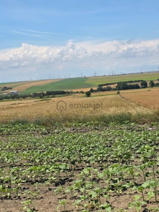 Tekirdağ Saray Edirköy Kelepir Yatırımlık Tarla 262 M2 1