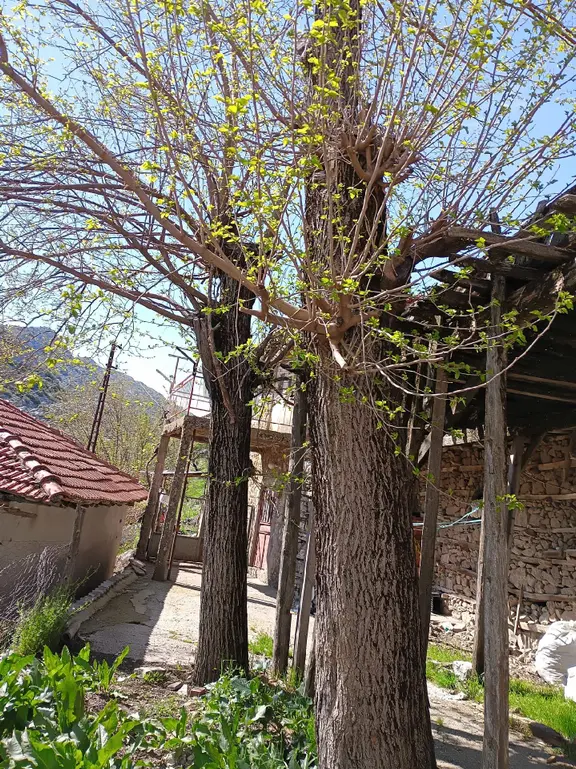 Huzurlu Bir Yaşam İçin Kadılar Diyarı İbradıyı Seçin 1