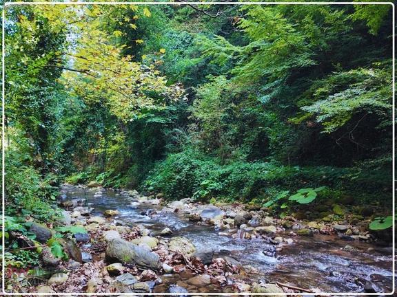 Akarsuya 200 Metre, Asfalt Yola 165 Metre Cepheli Emsalsiz Arsa 1