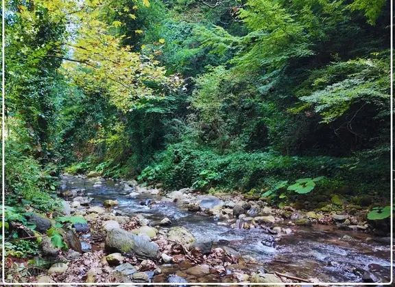 Akarsuya 200 Metre, Asfalt Yola 165 Metre Cepheli Emsalsiz Arsa 1