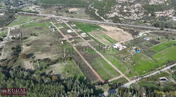 İzmir Menderes Şaşalda 24 Dönüm Tek Müstakil Tapu Kupon 2