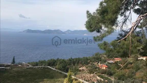 Ferhiye Faralya'da Satılık Muhteşem Deniz Manzaralı Arsa 2