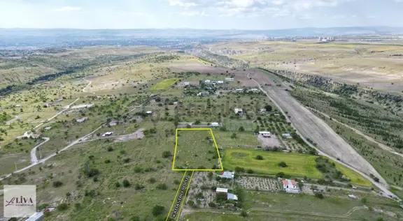 Liva'dan Reşadiye'de Harika Konumda 4124 M² Tek Tapu Bağ 1