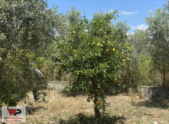 Saklıkent Yolu Üzeri Satılık Arazı İki Katlı Bina 2