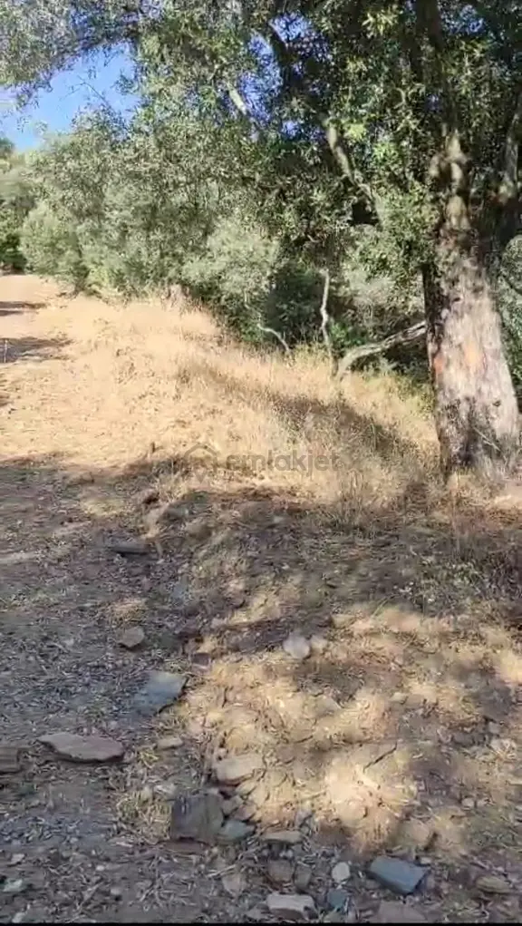 Bayındır Ergenli Mahallesinde Satılık 518m2 Tarla 1