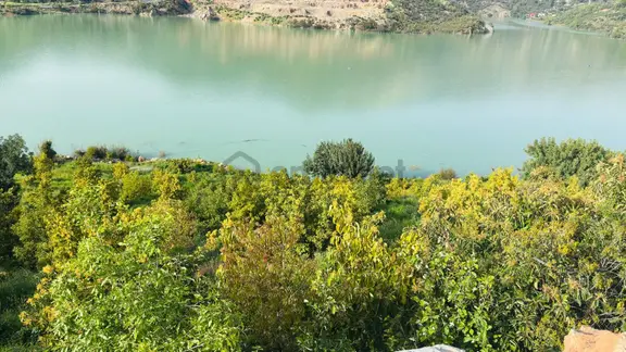 Baraj Manzaralı Avakoda Bahçesi ..!!! 1