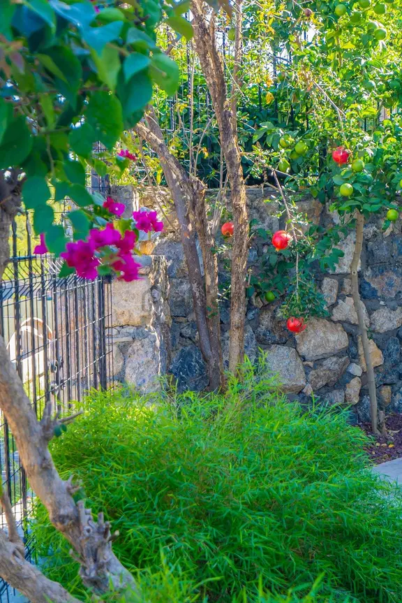 Kargıcak Syedra Villa'larında Deniz Manzaralı Eşyalı 3+1 Villa 2