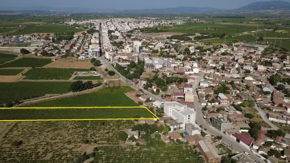 Manisa Saruhanlı İmar Dibi Yatırımlık Bağ 2864 M2 1