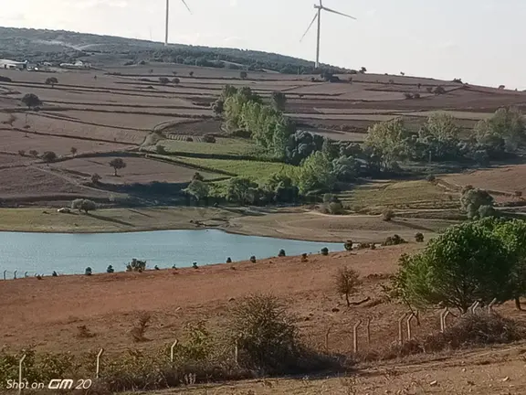 Er Yapı'dan Satılık Karesi Şamlı'da 9950 M2 Tarla 1