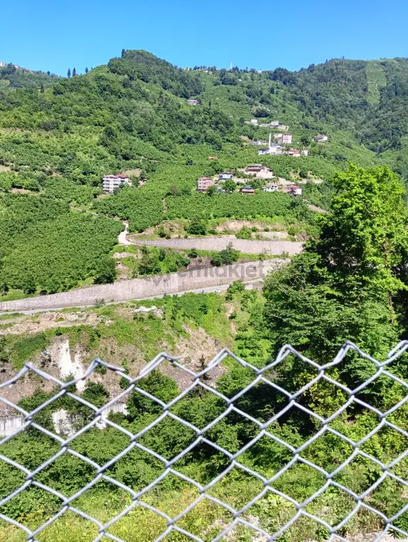 Wisrem'den Ortahisar'da Satılık Villalık Arsa Ve Fındık Bahçesi 1