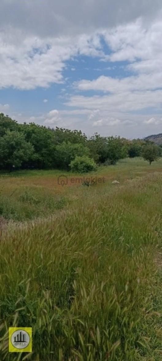 Denizli Acıpayam Yeşilyuva Satılık Konut İmarlı Arsa 2