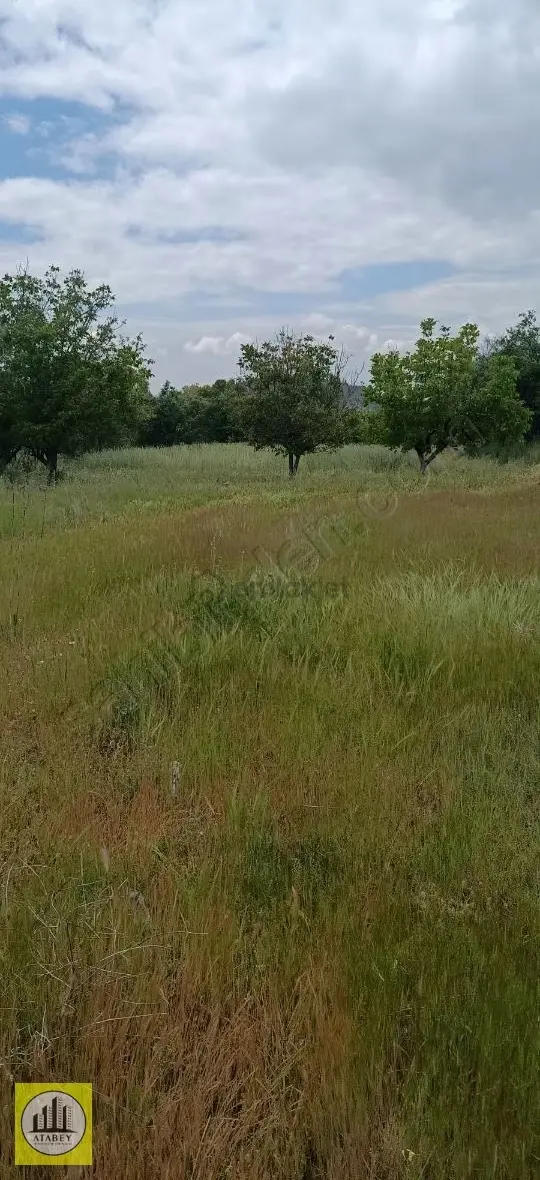 Denizli Acıpayam Yeşilyuva Satılık Konut İmarlı Arsa 2