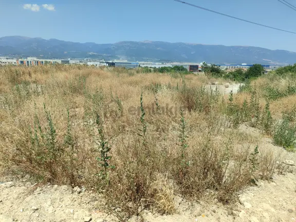 İzmir Kemalpaşa Sanayi Bölgesine Yakın Acil Satılık Bahçe 1