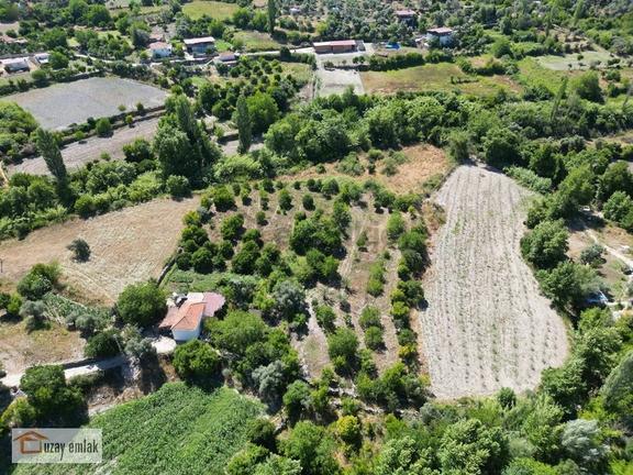 Milas Ören Dereköy'de 1.972 M² Meyve Ağaçlı Satılık Tarla 1