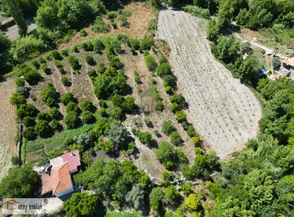 Milas Ören Dereköy'de 1.972 M² Meyve Ağaçlı Satılık Tarla 2