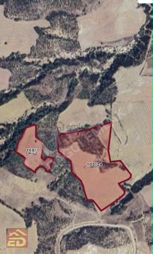 Bölmekaya'da Satılık 51.865 M² Verimli Tarım Arazisi 1