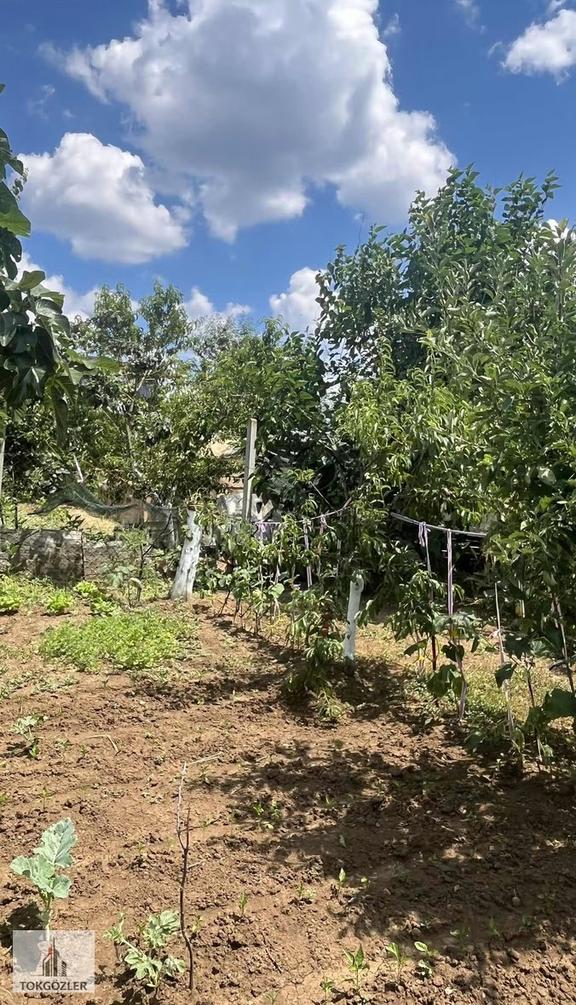Karaevlide Acil Satılık Villa 2