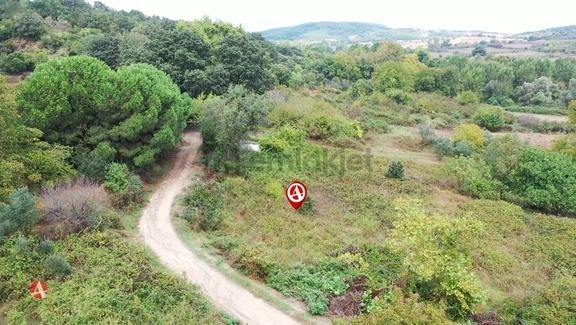 Lapseki, Güreci, Köye Yakın, Yola Cephe 743 M2 Satılık Arazi 1