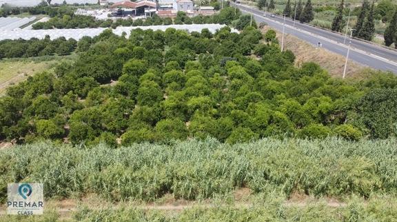 Aydın Nazilli İsabeyli Yatırımınızı Kazanca Dönüştürecek Fırsat 2