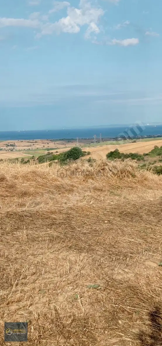 Gelibolu Kavaklitepe Köyünde Full Boğaz Manzaralı Tarla... 2