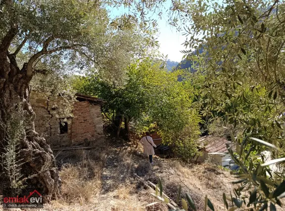 Emlak Evi'nden Çayyüzü Mah. Satılık Köy Evi Ve Arsası 2