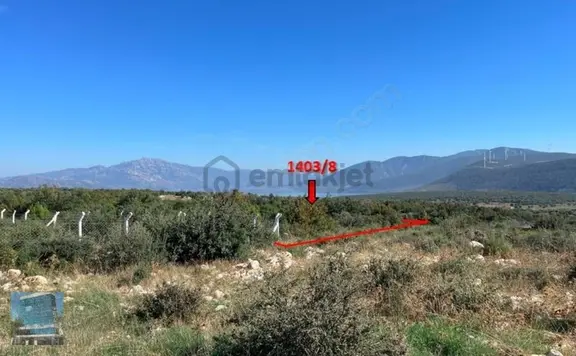 Aydın Didim Akyeniköy'de Satılık 720 M2 Arsa 2