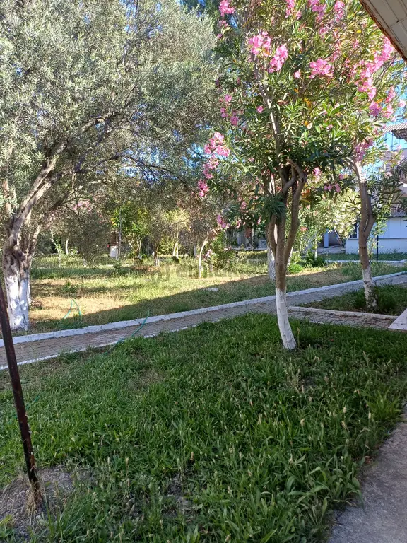 Karavan Fiyatına Sarımsaklı Plajında Mülkünüz Olsun 1