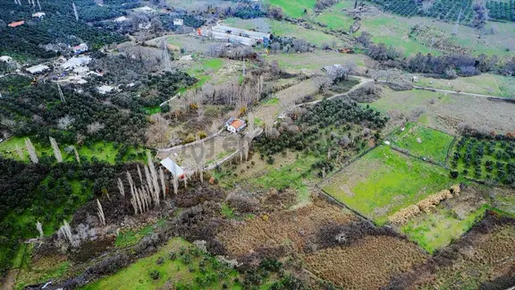 Acil Lıon Emlak'tan Ocaklar'da 6500 M² Fırsat Zeytinlik 2