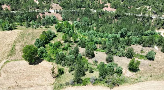 Göynük Karaardıç Köyünde 1388 M2 Satılık Arazi 2