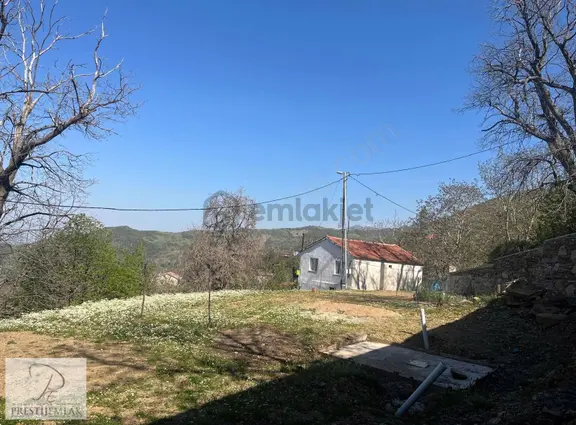 Tire Prestijden Karadeniz Yaylası Dallık Köyünde Satılık Arsa 2