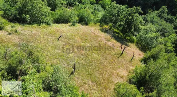 Köprübaşı Emlaktan Satılık Çamdibi Köyünde %5 İmarlı Arsa 1
